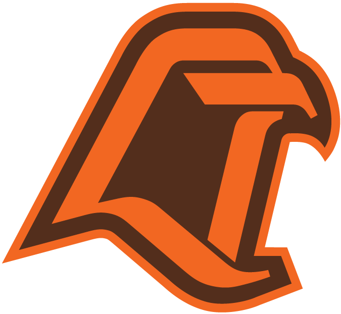 Bowling Green Falcons 1980-1989 Alternate Logo iron on transfers for T-shirts
